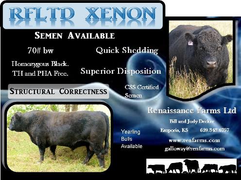Xenon_Ad_resized.jpg